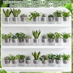 Self Watering Plant Pots, 6.6'', Transparent, 12 Pcs - Image 6