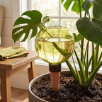 Automatic Plant Watering Globes 500ML Top Fill Drip Irrigation for Indoor - Image 5