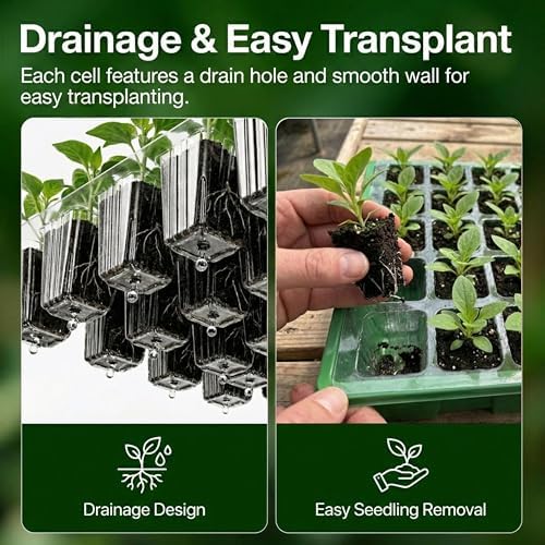 Gardzen 10 Pack 40 Cell BPA Free Seed Starter Tray Kit - Image 4