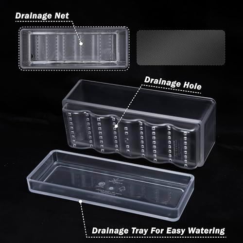 D'vine Dev 2-Pack Rectangular Planters, 12 x 4.5 in, Clear, 76-X-D-2 - Image 4