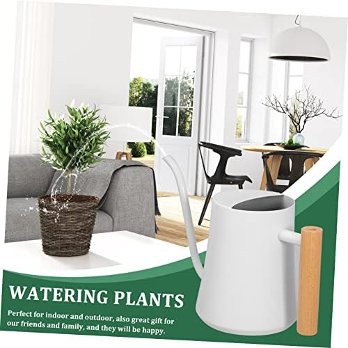 Mini Long Spout Watering Kettle Garden Plant Water Sprayer 1000ml Capacity - Image 7