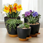Remerry 15 Pcs 7/6.5/6/ 5.5/5 Inch Self Watering Planters with Drainage Hole Plant Pots Plastic Flower Pots Self Watering Pot and Saucer Reservoir for Garden Plant Flower(Black) - Image 4