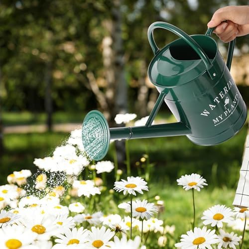 Garutom Galvanized Watering Can for Outdoor Indoor Plants, 1 Gallon Decorative Countryside Water Can with Removable Spout, Metal Watering Can for Indoor Plants and Garden Flower (Green) - Image 5