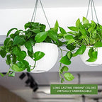 Dexceder 10.5 Inch Self Watering Hanging Planter (White) - Image 6