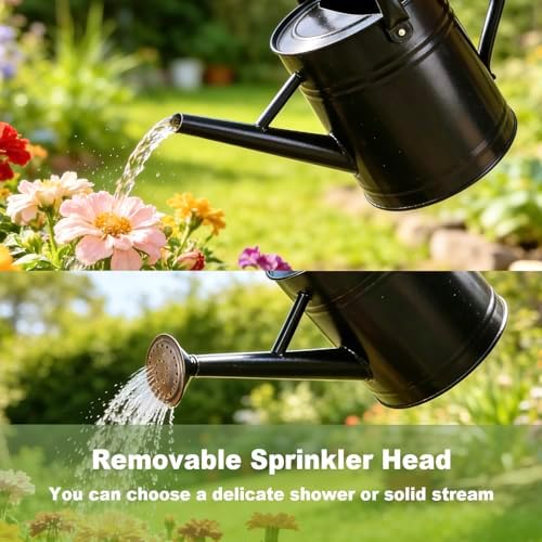 1 Gallon Watering Can for Outdoor&Indoor Plants，Black - Image 5