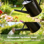 1 Gallon Watering Can for Outdoor&Indoor Plants，Black - Image 5