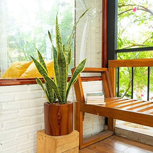 7.8 in Self-Watering Square Planter, 8 Inch, Dark Brown by Noeko