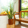 7.8 in Self-Watering Square Planter, 8 Inch, Dark Brown by Noeko