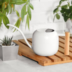 Can Indoor Plants Metal Stainless Steel with Long Spout for House Bonsai Garden Flower Decorative(D) - Image 4