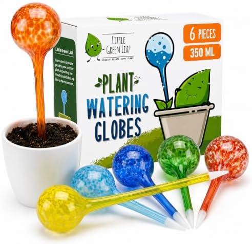 Large Plant Watering Globes 6 Pack – Jumbo Self Watering Bulbs, 350ml Set by LittleGreenLeaf