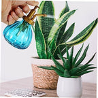 Vintage Glass Watering Spray Bottle 2Pcs for Flowers and Succulents - Image 7