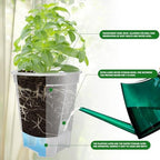 Cdd's Path Large Naked Root Planter Self Watering Pots Set with Holes for Indoor/Outdoor Plants, Planter Pot with Watering Hole/Reservior and Air Pipes (Clear, 8 inch-5 Pack) - Image 3