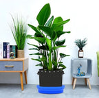5-Pack Self-Watering Base with Visible Water Level - Image 6