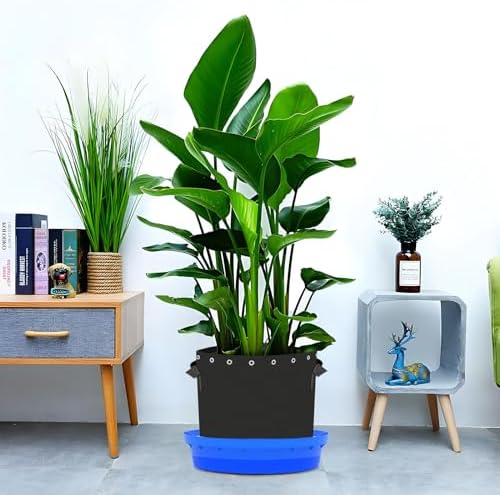 5-Pack Self-Watering Base with Visible Water Level - Image 6
