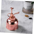 Vintage Plant Watering Can Stainless Steel Succulent Watering Bottle Indoor Plant Mister - Image 3