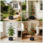 Lancisism 2 Pack Raised Garden Bed Tomato Planter with Trellis - 57" Self Watering Planter Box for Climbing Plants Vegetables Flowers - Garden Tomato Pots with Cage for Patio Greenhouse Indoor Outdoor - Image 6