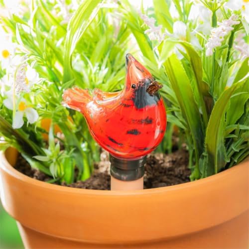 Evergreen Family Products Memorial Plant Support & Accessories, Art Glass Cardinal Watering Globe, 1 Count by Unknown