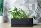 D'vine Dev Rectangular Planter, 12 x 4.5 in, Black, 76-X-B-1 - Image 3