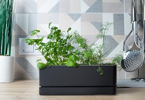 D'vine Dev Rectangular Planter, 12 x 4.5 in, Black, 76-X-B-1 - Image 3
