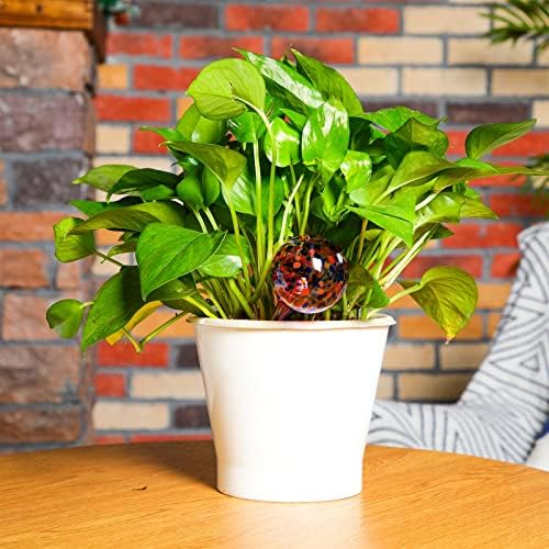16 Pcs Plant Watering Devices 150ml Small Self Watering Globes for Indoor and Outdoor Planter Insert Multicolored Automatic Glass Watering Globes for Plants Everyday Use, 5 Day Irrigation - Image 5