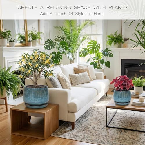 7.5 Inch Ceramic Planter with Saucer,Modern Garden Pots with Drainage Hole Mesh Net, for Indoor Outdoor Use (Crackle Blue) - Image 2