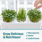 Back to the Roots Indoor Aquaponic Garden - 3 Gallon Self Watering, Mess-Free Planter and Self-Cleaning Fishtank for Herbs, Microgreens, Bamboo, Succulents, and Houseplants, support Fish - Image 5