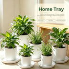 TITE 3 Pack Plant Saucer Heavy Duty Sturdy Drip Trays for Indoor and Outdoor (16 Inch, White) - Image 6