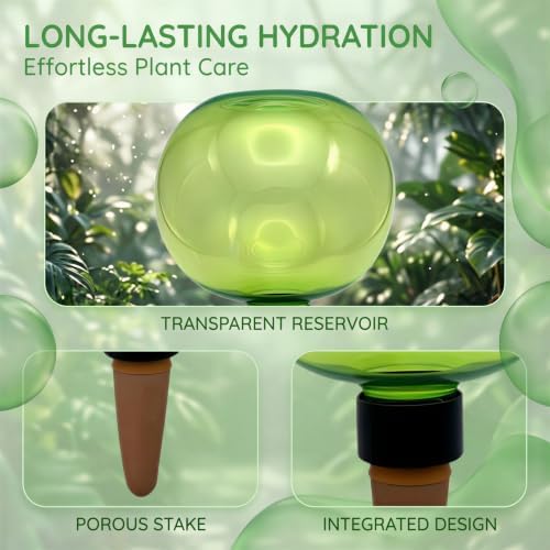 6 Pack Self Watering Globes, 17 oz Plant Watering Globes with Terracotta Stakes, 6.7 x 3.9 in Automatic Plant Waterer Indoor Bulbs for Vacation, Large Capacity Irrigation for Successive Feeding - Image 3