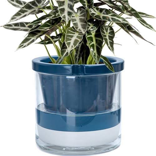 D'vine Dev Self-Watering Blue Terracotta Planter Pot, 10 in, 37-X-D-4 by DvineDevPlanterPotsandStand