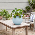 8 Inch African Violet Pots, Ceramic Self Watering Pots, Light Blue - Image 5