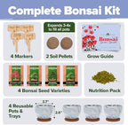 HOME GROWN Bonsai Tree Starter Kit, 4 Varieties, Indoor Gardening Gift Set - Image 2