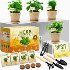 HOME GROWN 4 Herb Indoor Garden Kit, Christmas Gardening Gift for Adults by HOMEGROWN