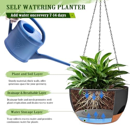 12 Inch Hanging Basket Planter with Chain & Rope for Indoor Outdoor Plants - Image 3