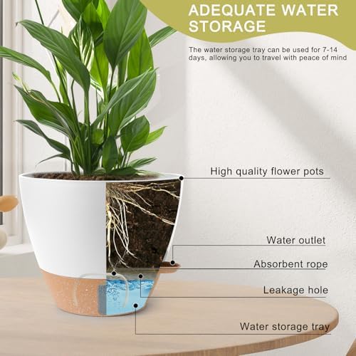 Self Watering Pots for Indoor Plants 12/10/9/8 Inch Plastic with Reservoir - Image 3