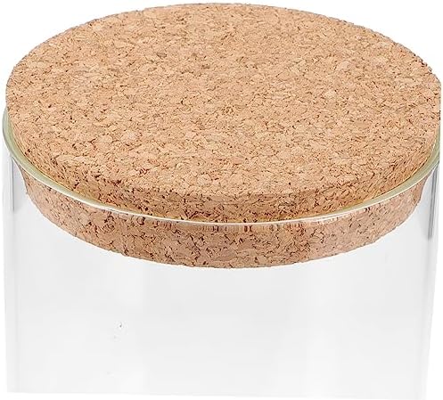 Cabilock Moss Eco Bottle Plant Propagation Terrarium Glass Succulent Jar Micro Landscape Container Watering Globes - Image 3
