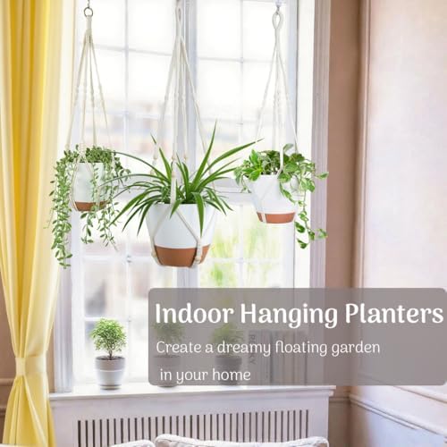 3 Pack Self Watering Hanging Planters for Indoor Plants Large 10/8/7 Inch - Image 4