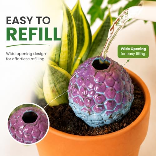 SURE YUESI 4PCS Self Watering Globes, Automatic Terracotta Watering Bulbs - Watering Spikes, Vacation Plant Watering Devices System, Plant Watering Globes for Indoor and Outdoor Plants - Cactus - Image 5