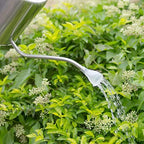 Stainless Steel Silver Colored Watering Can 1/2 Gallon Long Spout Watering Pot for Indoor Plant Watering or Outdoor Gardening with 2Pcs Removable Spray Spout for Flowers - Image 3