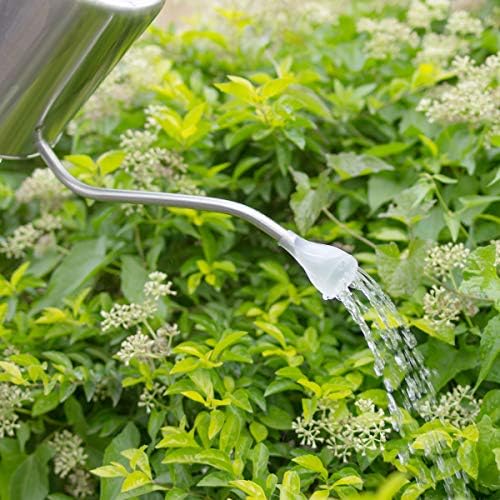 Stainless Steel Silver Colored Watering Can 1/2 Gallon Long Spout Watering Pot for Indoor Plant Watering or Outdoor Gardening with 2Pcs Removable Spray Spout for Flowers - Image 3