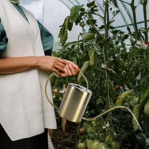 Stainless Steel Watering Kettle Long Spout Practical Pot for Indoor Outdoor Plants Brass Color Gardening Can for Home Use - Image 3