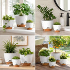 Large Self Watering Pots for Indoor Plants, 12/10/9/8 Inch White - Image 6