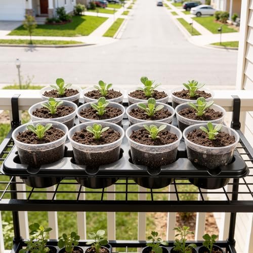 homenote 5 Pack 12 Cell Seed Starter Trays with 60 4 Inch Nursery Pots - Image 5