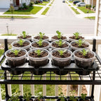 homenote 5 Pack 12 Cell Seed Starter Trays with 60 4 Inch Nursery Pots - Image 5