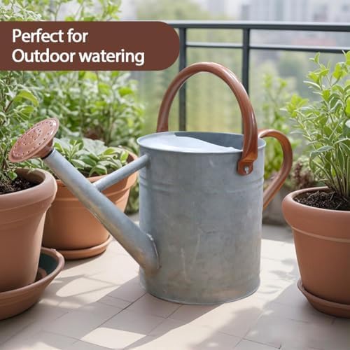 Metal Watering Can 1 Gallon for Outdoor Garden Plants, Zinc - Image 4