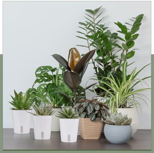 Ziliny 50 Pcs 3 Inch Self Watering Planters with Water Indicator - Image 6