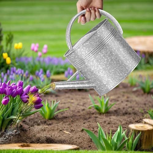 Galvanized Watering Can for Outdoor Indoor Plants, 2.5 Gallon Ellipse Decorative Countryside Style Water Can with Removable Spout, Metal Watering Can for Indoor Plants and Garden Flower - Image 7
