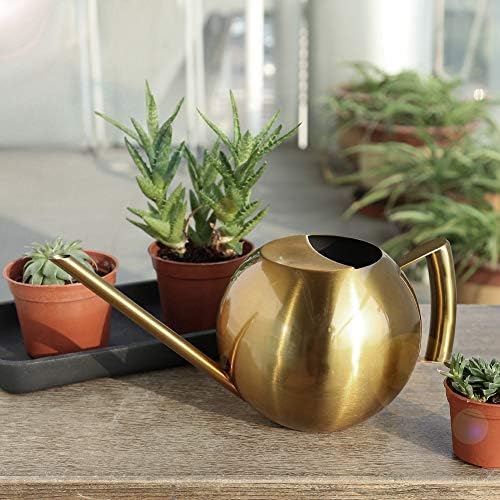FLEXMAN 1000ml Stainless Steel Watering Can with Long Spout, Long Spout Modern Style Watering Pot, Small Watering Can for Outdoor Indoor Plants (Gold) - Image 5