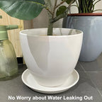 Ceramic Plant Saucer - 12 Inch Plant Tray for Pots Large Plant Plate to Catch Water Indoor Plants Large Plant Drip Tray for Drainage Round Flower Pot Saucer White - Image 3