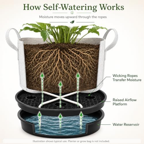 Self Watering Plant Saucers 4 Pack, 13.6 Inch Plastic Plant Saucers with Raised Grid Platforms and 8 Wicking Ropes, for Plant Pots, Fabric Grow Bags, Indoor and Patio Planters, Black - Image 3