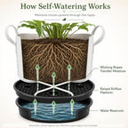 Self Watering Plant Saucers 4 Pack, 13.6 Inch Plastic Plant Saucers with Raised Grid Platforms and 8 Wicking Ropes, for Plant Pots, Fabric Grow Bags, Indoor and Patio Planters, Black - Image 3
